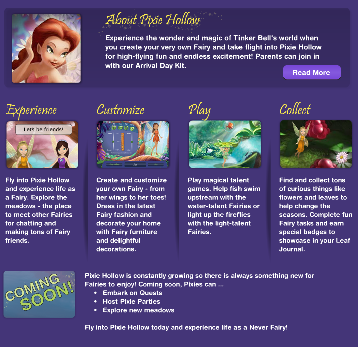 About Pixie Hollow