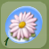 Daisy Petals In Pouch.Png