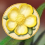 Buttercup Petals Collected.Png